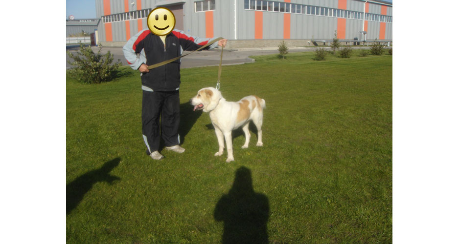 Алабай Саяна